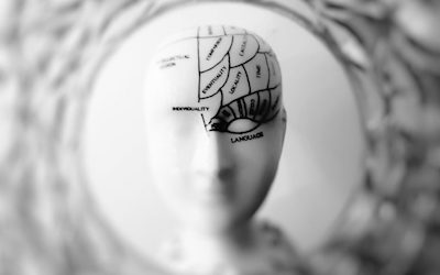 PSICOLOGIA GIURIDICA: Neuropsicologia forense