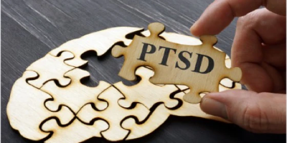CORSO GRATUITO:Storia del Trauma e della diagnosi di “Disturbo Post Traumatico da Stress”: un viaggio tra storia, politica e clinica