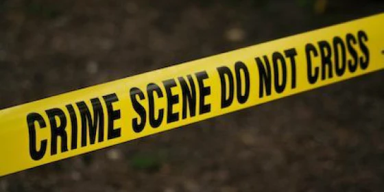 Psicologia investigativa e criminologia clinica