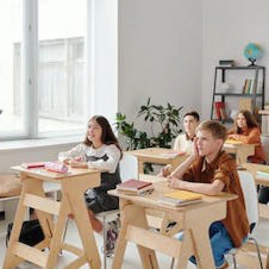 Psicologia scolastica, I progetti, la formazione, l’orientamento scolastico e professionale. Gli interventi dello psicologo trasversalmente agli ordini scolastici