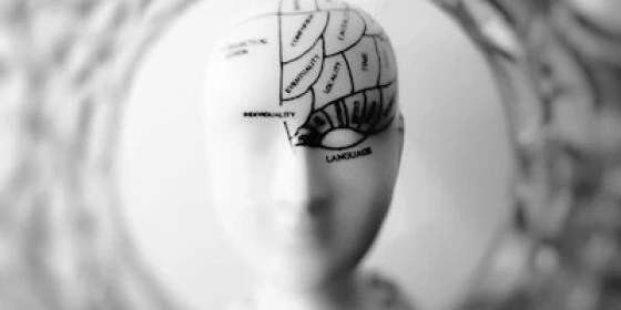 Neuropsicologia forense