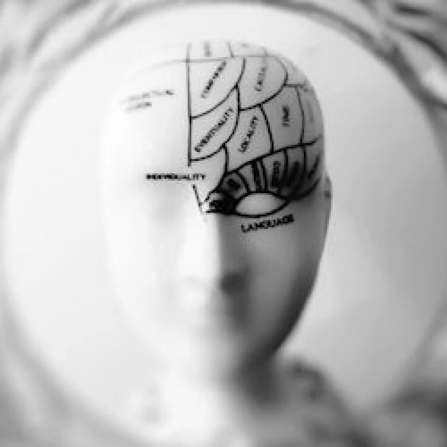 Neuropsicologia forense