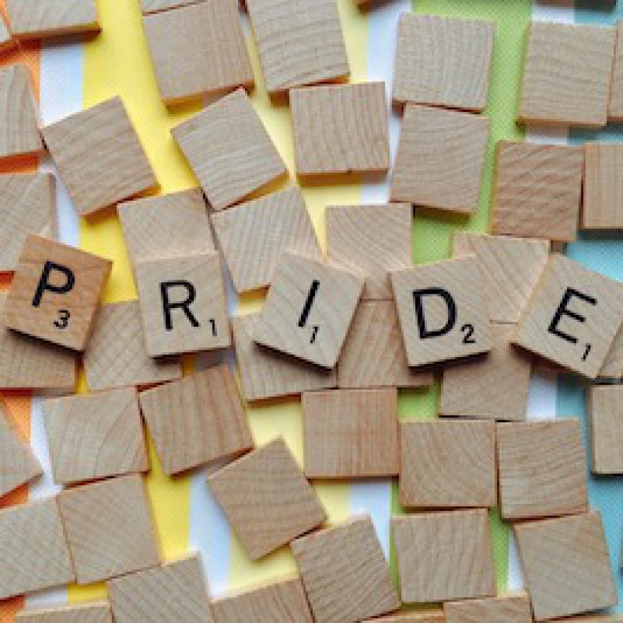 Psicologia e clienti LGBTQIA+: accoglienza de* paziente in studio, analisi della domanda e quadri di riferimento teorici per il supporto psicologico