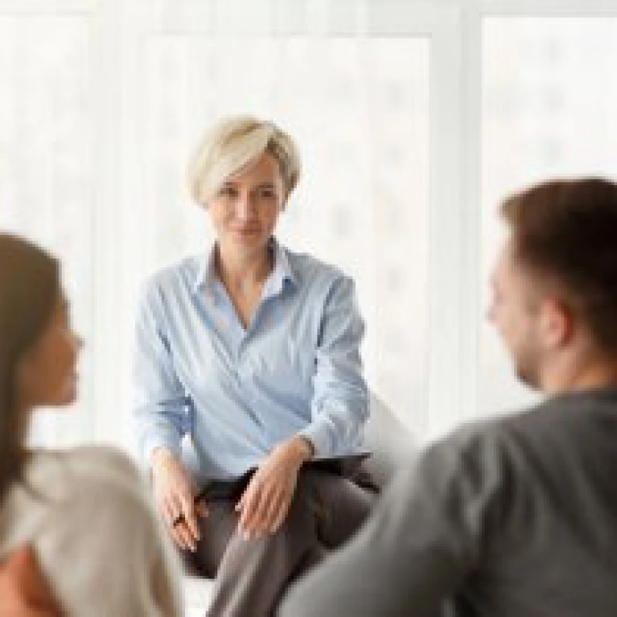 Psicoterapia della coppia: valutazione, consulenza e trattamento