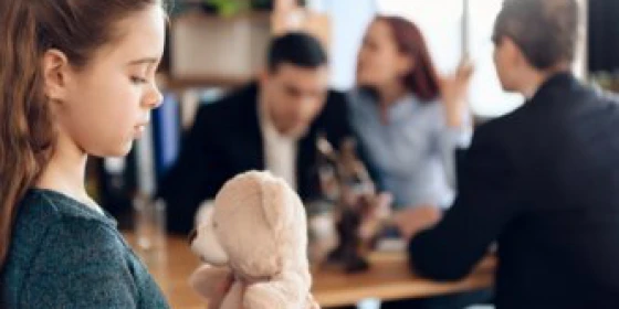 L'indagine psicosociale.Strumenti e tecniche di assessment nella tutela minori
