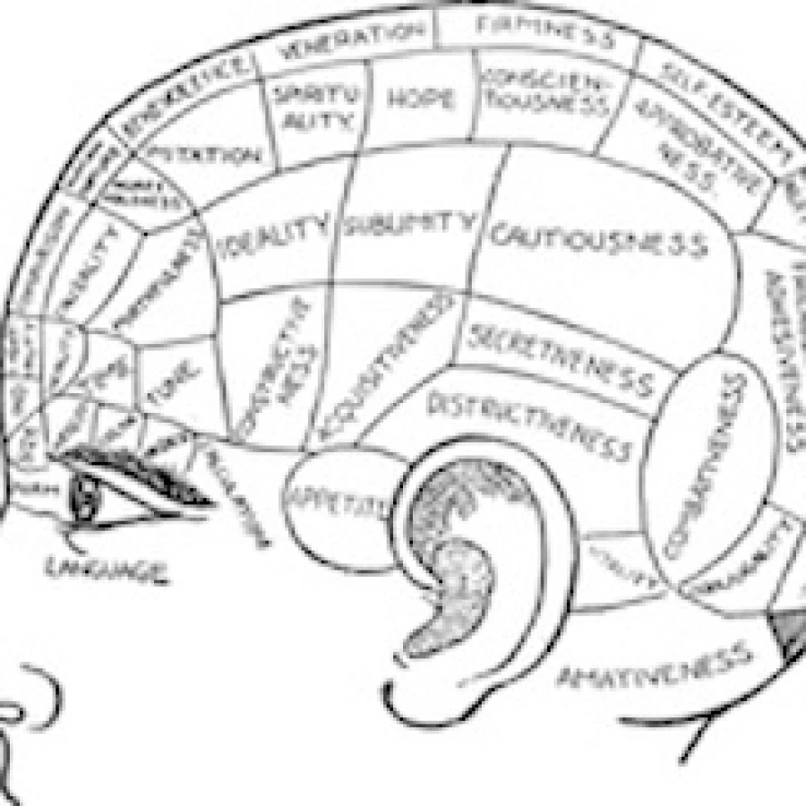 L'esame psichico, guida pratica per gli psicologi