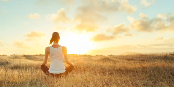 DIPENDENZE PATOLOGICHE E MINDFULNESS. Introduzione all’utilizzo del protocollo MBRP nel trattamento del paziente dipendente