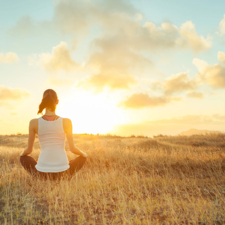 DIPENDENZE PATOLOGICHE E MINDFULNESS. Introduzione all’utilizzo del protocollo MBRP nel trattamento del paziente dipendente